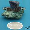 Ver detalle del producto/Click for see details